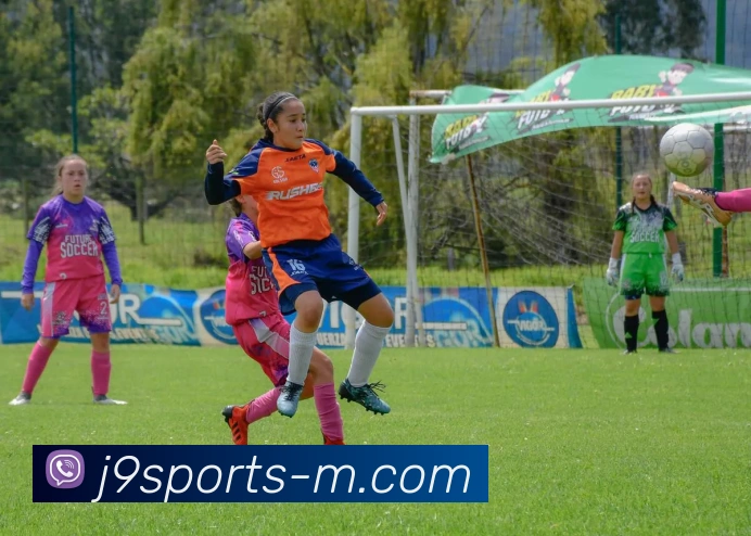 数据分析功能